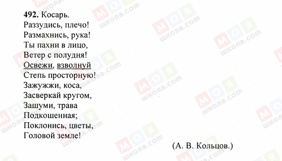 ГДЗ Російська мова 6 клас сторінка 492