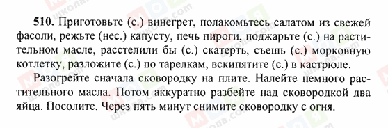 ГДЗ Російська мова 6 клас сторінка 510