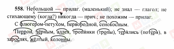 ГДЗ Російська мова 6 клас сторінка 558