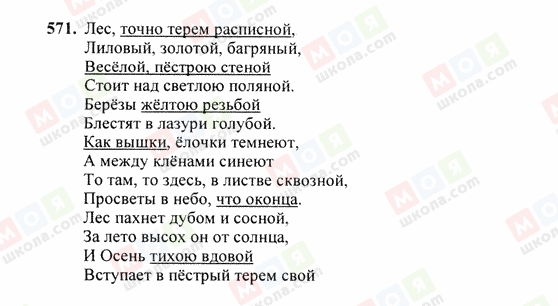 ГДЗ Російська мова 6 клас сторінка 571