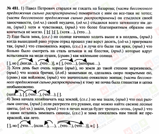 ГДЗ Російська мова 10 клас сторінка 481