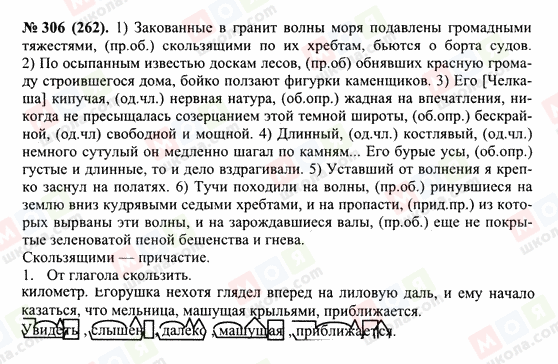 ГДЗ Російська мова 10 клас сторінка 306