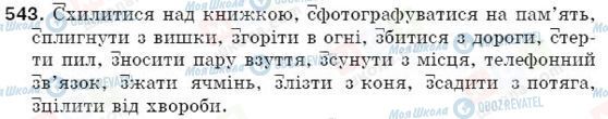 ГДЗ Українська мова 5 клас сторінка 543