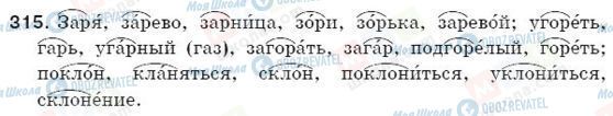 ГДЗ Російська мова 5 клас сторінка 315