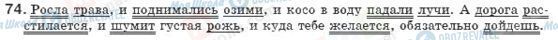 ГДЗ Російська мова 8 клас сторінка 74