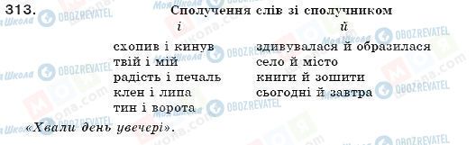 ГДЗ Укр мова 7 класс страница 313