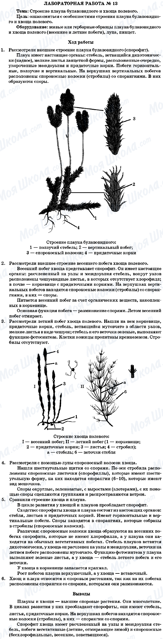 ГДЗ Біологія 7 клас сторінка Лабораторная работа 13