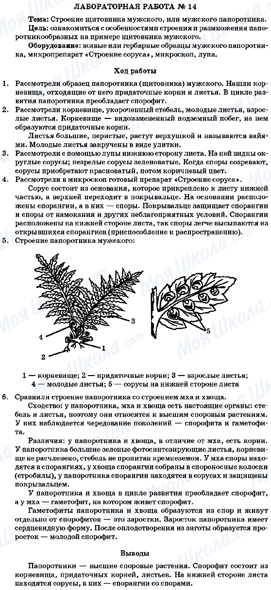 ГДЗ Биология 7 класс страница Лабораторная работа 14