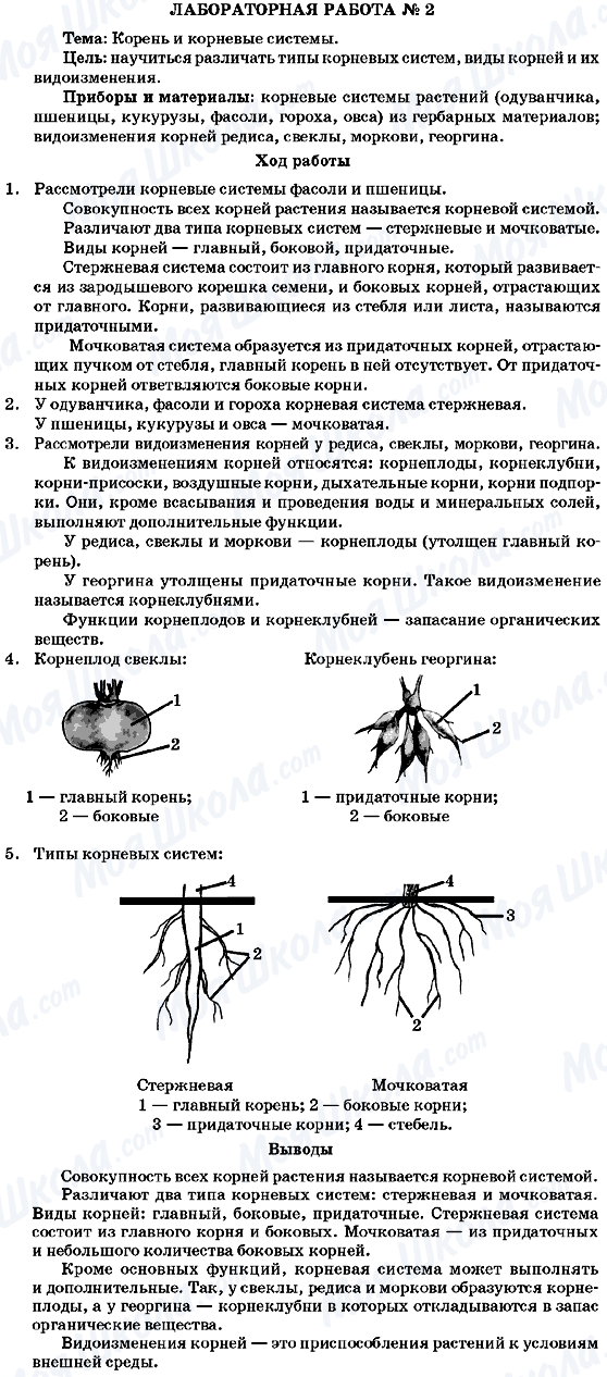 ГДЗ Біологія 7 клас сторінка Лабораторная работа 2