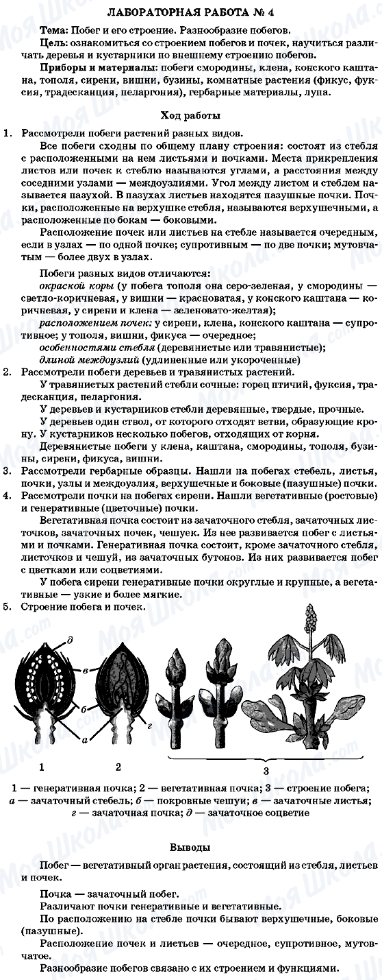 ГДЗ Біологія 7 клас сторінка Лабораторная работа 4