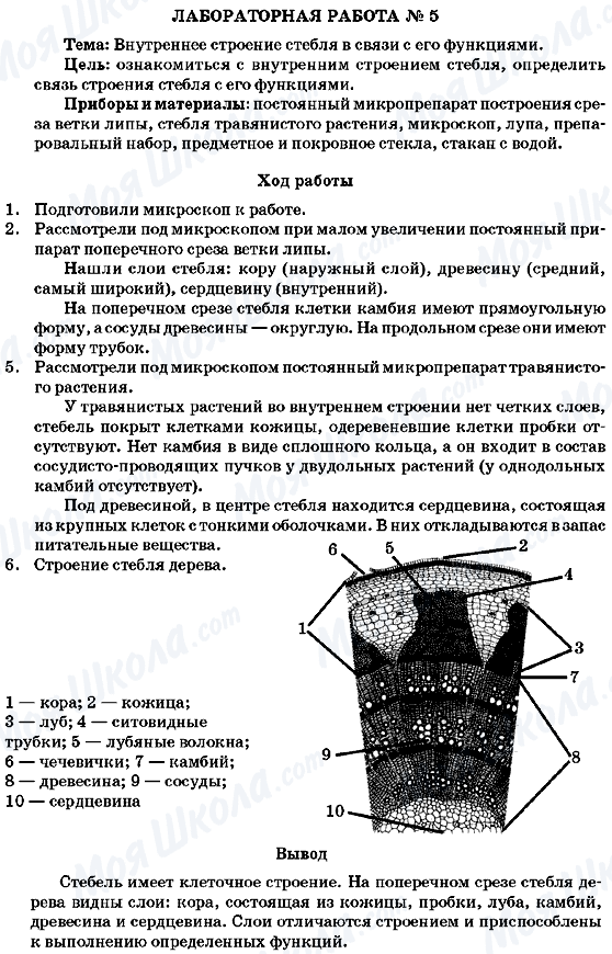 ГДЗ Биология 7 класс страница Лабораторная работа 5