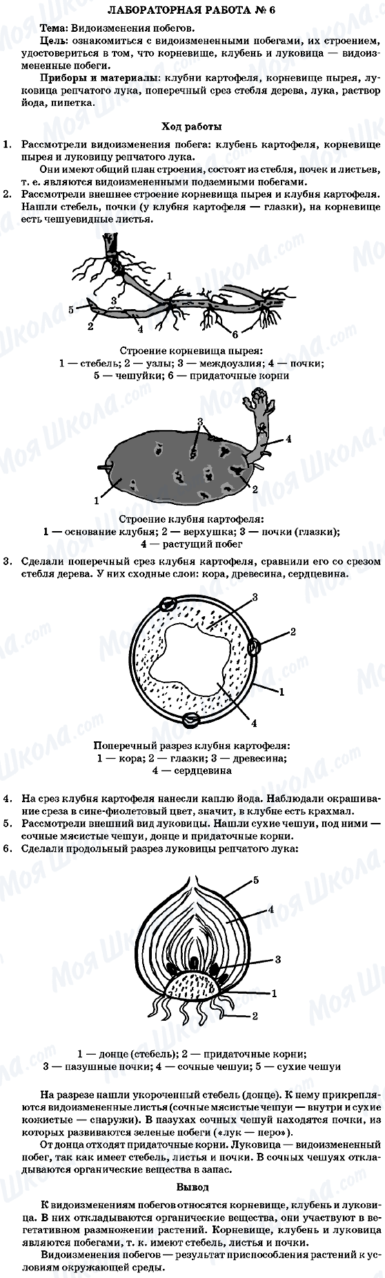 ГДЗ Биология 7 класс страница Лабораторная работа 6