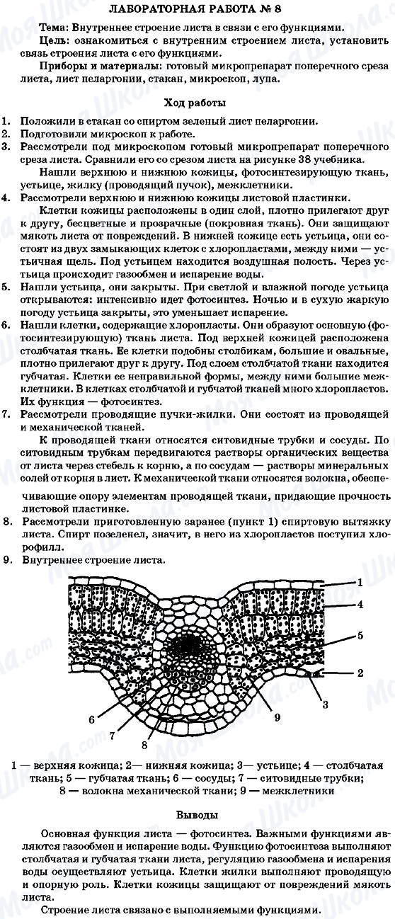 ГДЗ Биология 7 класс страница Лабораторная работа 8