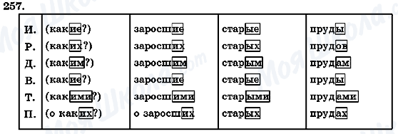 ГДЗ Російська мова 7 клас сторінка 257