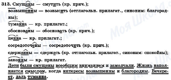 ГДЗ Русский язык 7 класс страница 313