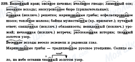 ГДЗ Російська мова 7 клас сторінка 339