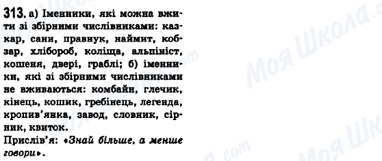 ГДЗ Українська мова 6 клас сторінка 313