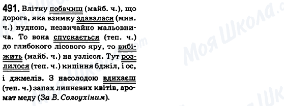 ГДЗ Українська мова 6 клас сторінка 491