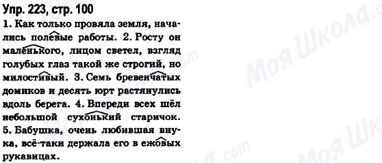 ГДЗ Російська мова 6 клас сторінка Упр.223, стр.100