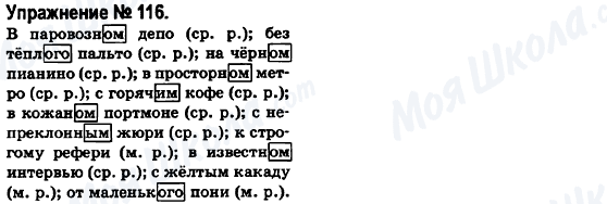 ГДЗ Російська мова 6 клас сторінка 116