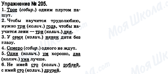 ГДЗ Російська мова 6 клас сторінка 205