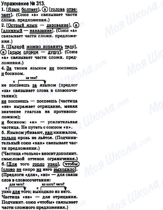 ГДЗ Російська мова 6 клас сторінка 313