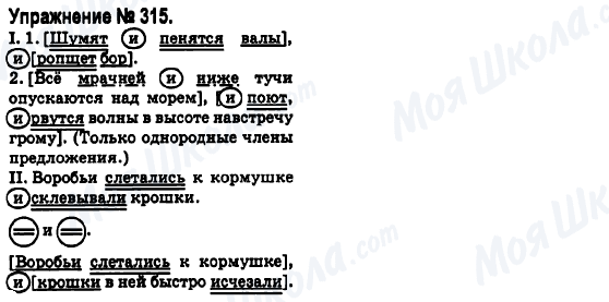 ГДЗ Російська мова 6 клас сторінка 315