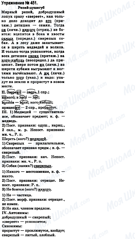 ГДЗ Російська мова 6 клас сторінка 451