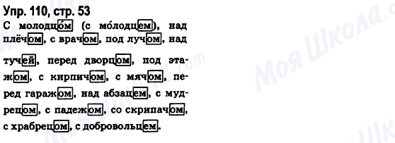 ГДЗ Русский язык 6 класс страница Упр.110, стр.53