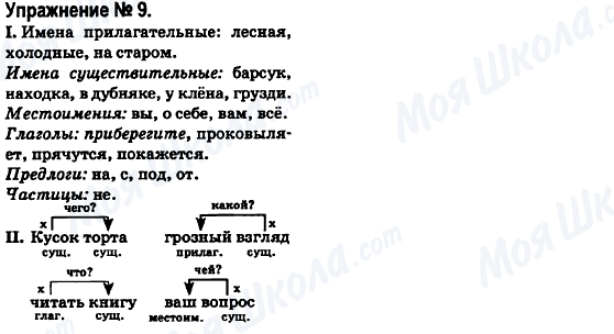 ГДЗ Російська мова 6 клас сторінка 9