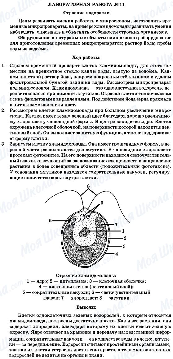 ГДЗ Біологія 7 клас сторінка Лабораторная робота №11