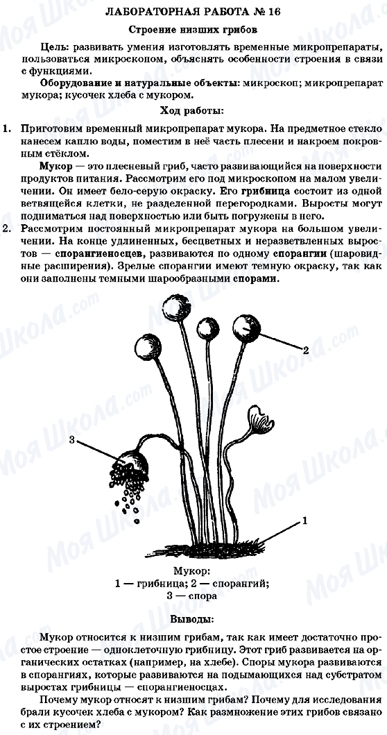ГДЗ Биология 7 класс страница Лабораторная робота №16