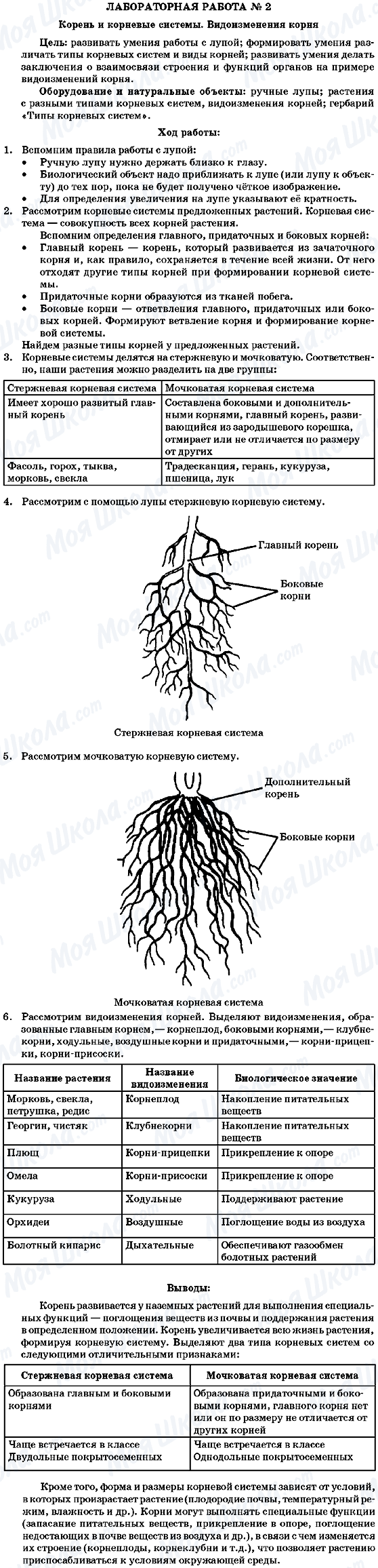 ГДЗ Біологія 7 клас сторінка Лабораторная робота №2