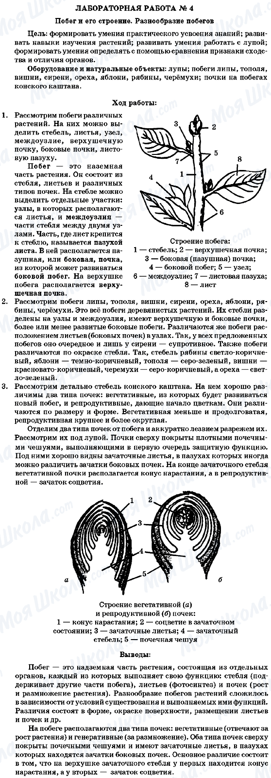 ГДЗ Біологія 7 клас сторінка Лабораторная робота №4