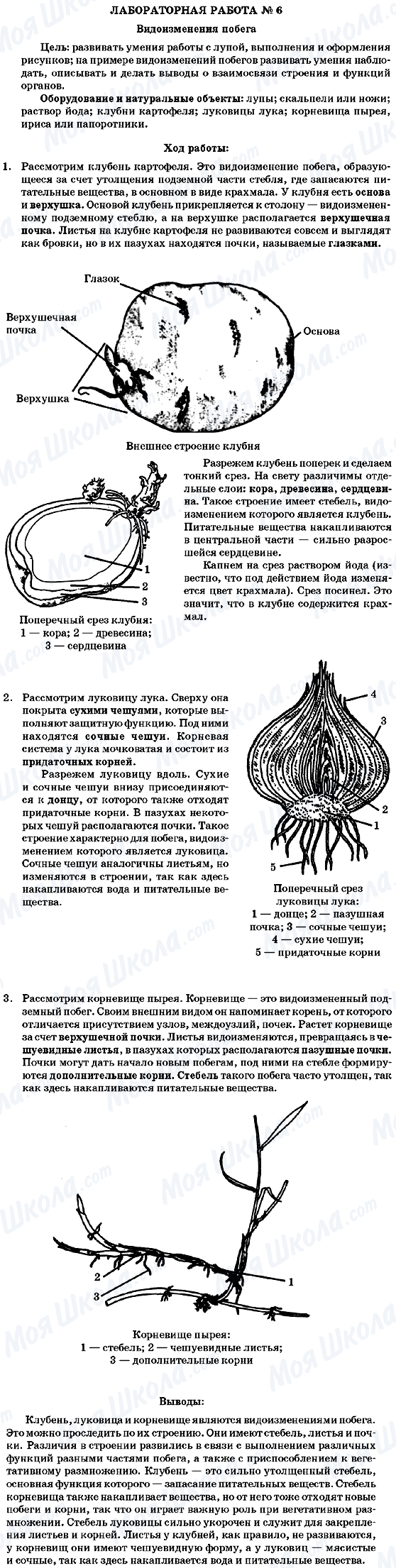 ГДЗ Біологія 7 клас сторінка Лабораторная робота №6