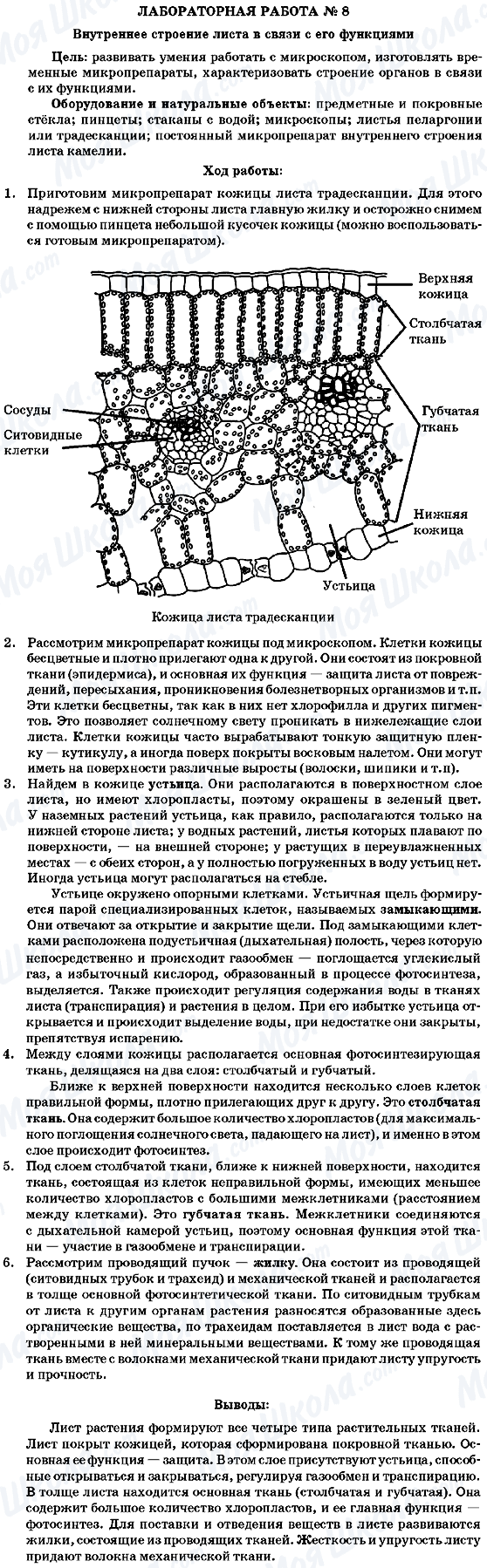 ГДЗ Біологія 7 клас сторінка Лабораторная робота №8