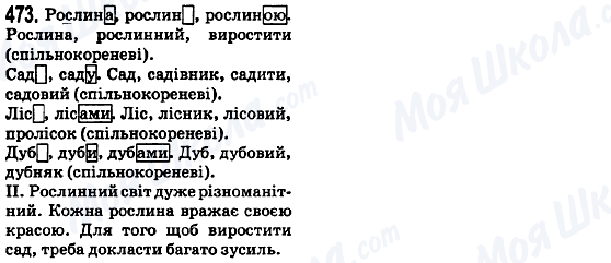 ГДЗ Українська мова 5 клас сторінка 473