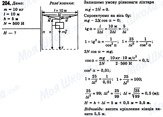 ГДЗ Физика 10 класс страница 204
