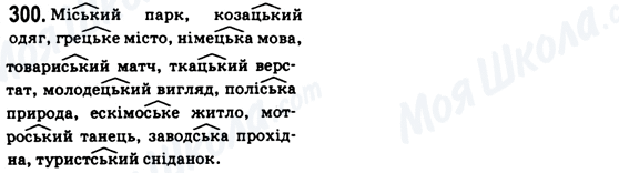 ГДЗ Українська мова 6 клас сторінка 300