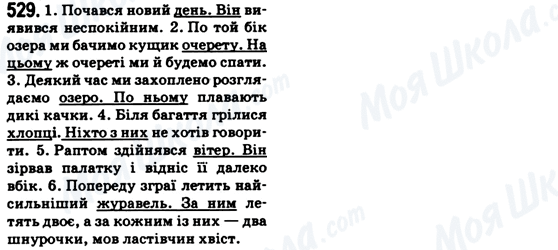 ГДЗ Українська мова 6 клас сторінка 529