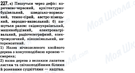 ГДЗ Українська мова 6 клас сторінка 227
