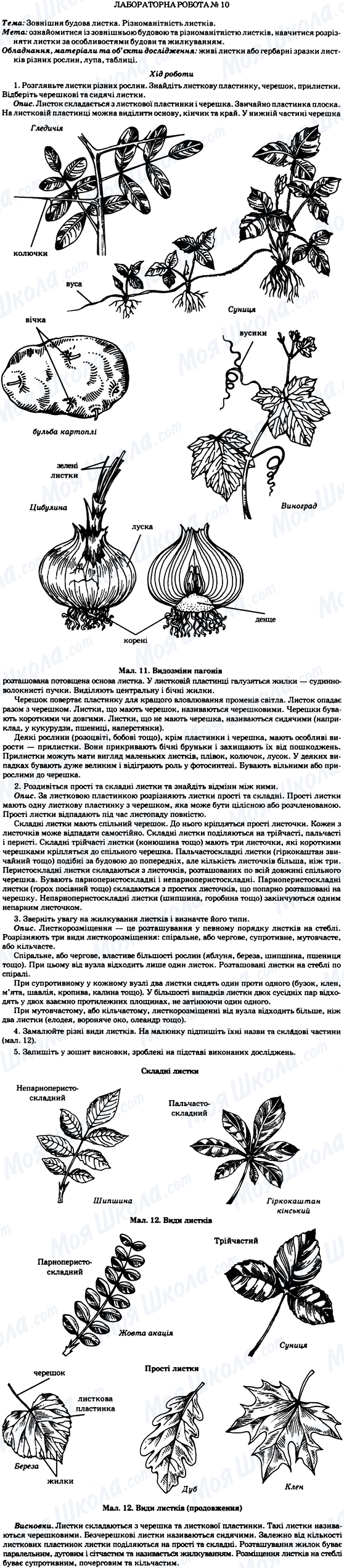 ГДЗ Біологія 7 клас сторінка Лабораторна робота №10