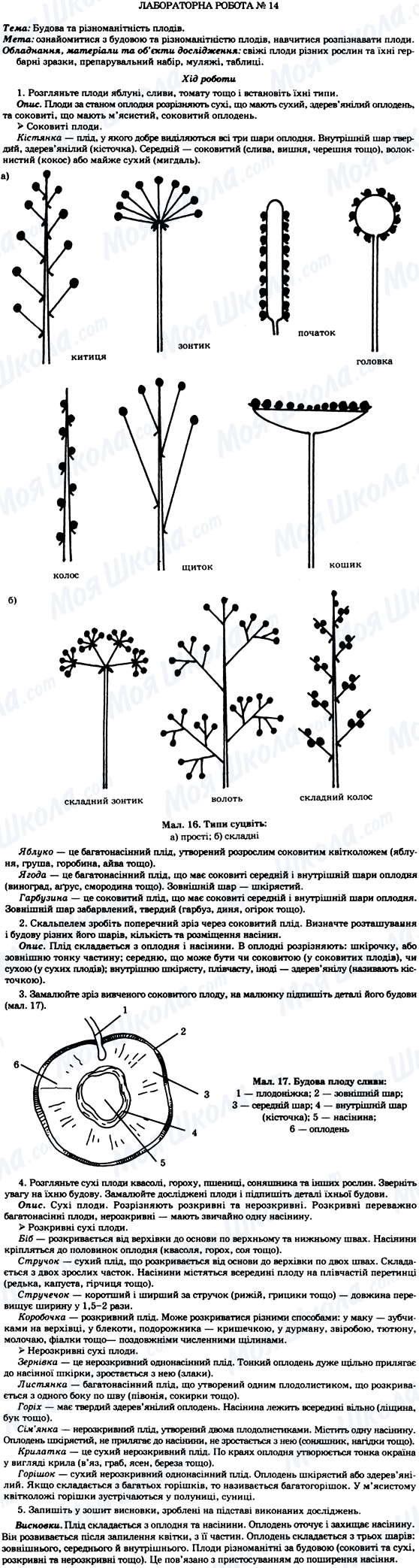 ГДЗ Биология 7 класс страница Лабораторна робота №14