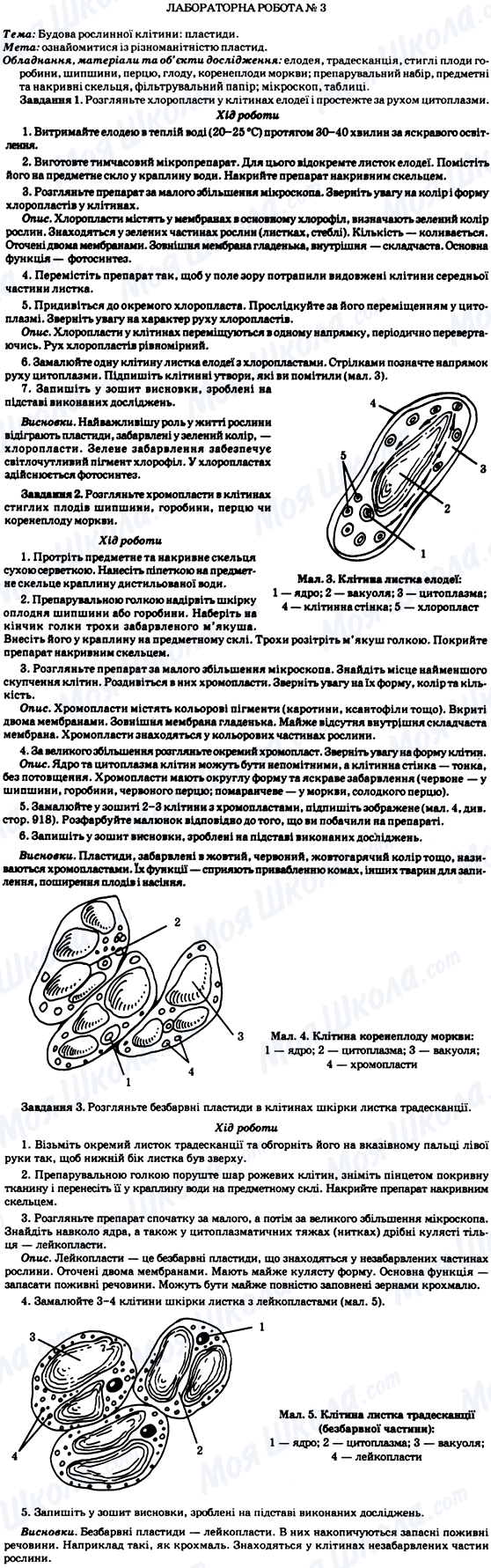 ГДЗ Біологія 7 клас сторінка Лабораторна робота №3