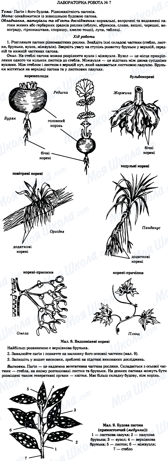 ГДЗ Биология 7 класс страница Лабораторна робота №7