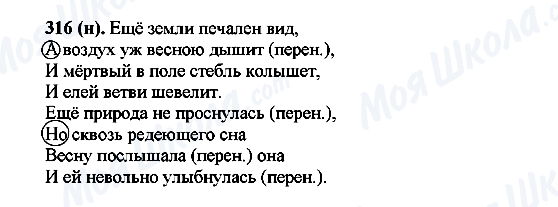 ГДЗ Російська мова 7 клас сторінка 316(н)