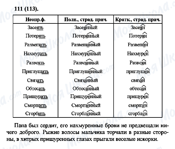 ГДЗ Російська мова 7 клас сторінка 111(113)