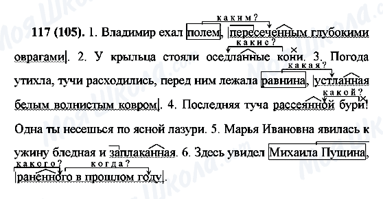 ГДЗ Русский язык 7 класс страница 117(105)