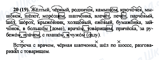 ГДЗ Російська мова 7 клас сторінка 20(19)