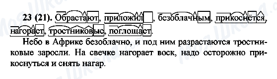 ГДЗ Російська мова 7 клас сторінка 23(21)